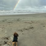 Caroline  is my Staff - @ruwhaar_teckel_nelson - Instagram