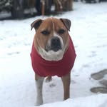 caroline.hayes - @caroline_staffie - Instagram