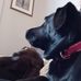 Caroline Stiles - Facebook