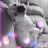 Caroline Stiles Ridd - @carolinestilesrid - TikTok
