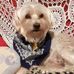Carol Lewis-Stock - Facebook