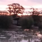 Carolyn Jane Stringer - @jane.stringer.5268 - Instagram
