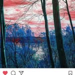 Caroline Ulrich - @ulrich8502 - Instagram