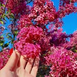 Caroline Vance - @carolinevance5769 - Instagram