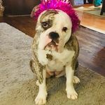 Caroline Wallis - @caroline.wallis.25 - Instagram