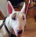 Carolyn Wertz - Facebook