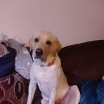 Caroline Westerman - Facebook