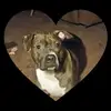 Carolyn Whipple - @carolyn.whipple - TikTok