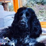 Caroline Whitehead - @carrie2whitehead - Instagram