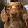 Caroline whitehead - @caroline123341 - TikTok