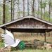 Carol Williston - Facebook