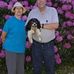 Carol Williston - Facebook