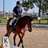 Caroline Williston - @caroline.willisto - TikTok