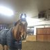 Caroline Williston - Facebook