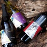 Caroline Hills Winery - @carolinehillswinery - Instagram