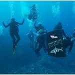 Caroline Wolf - @underwateradventuresbr - Instagram