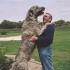 Caroline Wolf - @caroline.wolf57 - TikTok