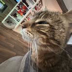 Coraline Yancey - Facebook
