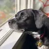 Caroline Yang - @carolineyang60 - TikTok