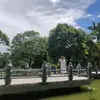 柳苏 - @carolineyang21 - TikTok