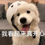 @_carolineyee_ - Instagram