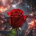 Carolina Yool - Facebook