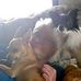 Carolyn Abel - Facebook