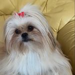 Carolyn Bartley - @carolyn.bartley.5 - Instagram