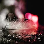 Carolyn Bauer - @carolyn_020805 - Instagram