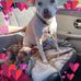 Carolyn Bauer - Facebook