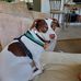 Carolyn Bauer - Facebook
