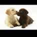 Carolyn Bee - Facebook
