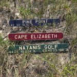 Carolyn Brooks Ewald - @carolyn_brooks_ewald - Instagram