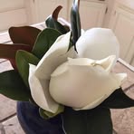 Carolyn Bruner - Facebook
