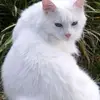 Carolyn Bruner - @carolyn.bruner - TikTok