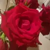 Carolyn Buffington - @carolyn.buffingto - TikTok