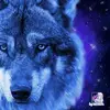 carolynbuffalohea8 - @carolyn.buffalohe - TikTok