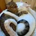 Carolyn Carson - Facebook