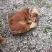 Carolyn Carson - Facebook