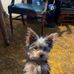 Carolyn Carson - Facebook
