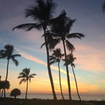carolyncarson - @carolyncarson - Instagram