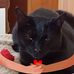 Carolyne Cherry - Facebook