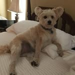 Carolyn Conner - @carolynconner815 - Instagram