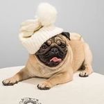 Carol Dellinger - @dellinger.carol - Instagram