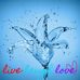 Carolyn Dever - Facebook