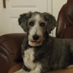 Carolyn Devereux - @carolyn_devereux - Instagram