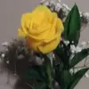 Carolyn Dillard - @carolyn.dillard1 - TikTok