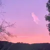 Kotosan - @carolyndillard10 - TikTok