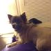 Carolyn Duff - Facebook