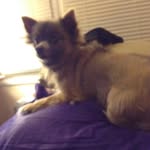 Carolyn Duff - @carolyn.duff.984 - Instagram